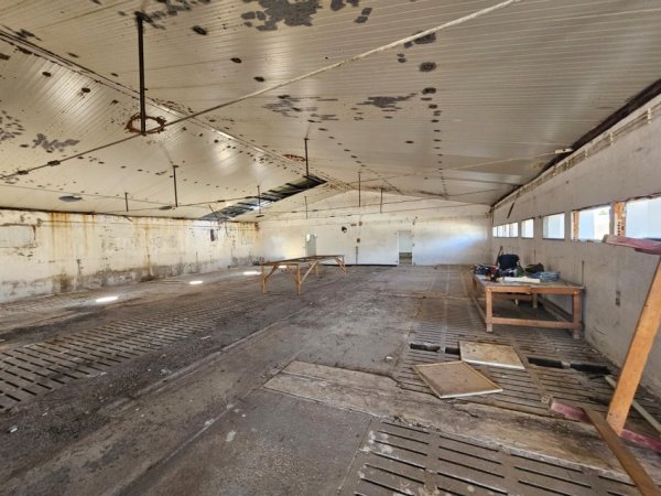 Durres, shitet magazine Kati 0, 4.000 m² 550.000 € 