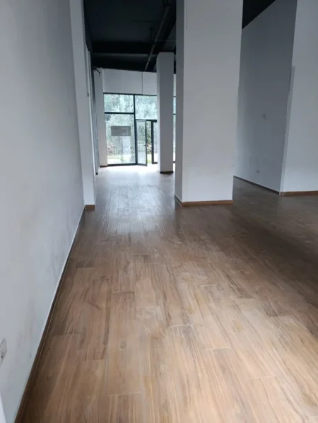 Tirane, jepet me qera apartament 1+1 Kati 0, 139 m² 1.500 € (astir kashar prane vila-L 2019)