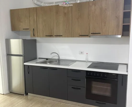 Tirane, jepet me qera apartament 1+1 Kati 1, 60 m² 500 € (Liqeni i thate)
