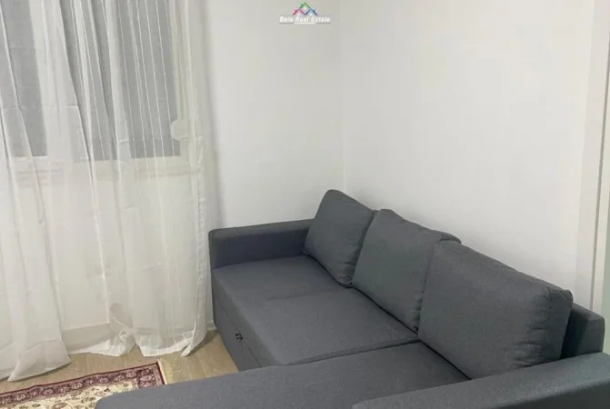 Tirane, jepet me qera apartament 1+1 Kati 1, 60 m² 500 € (Liqeni i thate)