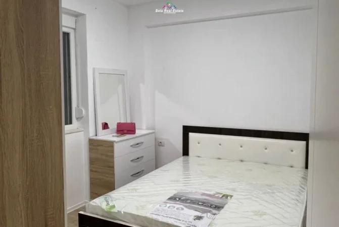 Tirane, jepet me qera apartament 1+1 Kati 1, 60 m² 500 € (Liqeni i thate)