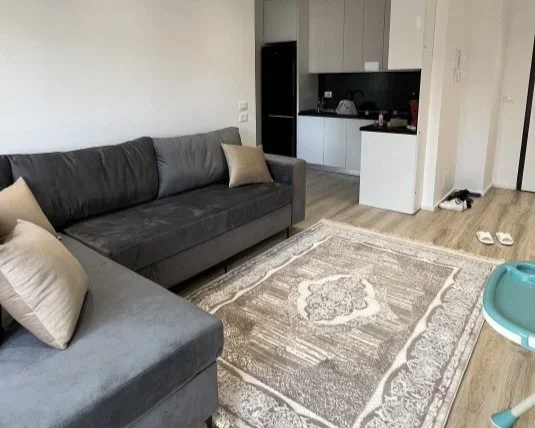 Tirane, jepet me qera apartament 1+1 Kati 2, 64 m² 500 € (yzberisht)
