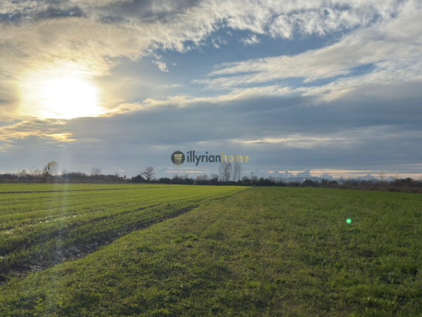 Durres, shitet toke , 8.000 m² 200.000 € (Xhafzotaj, Durrës)