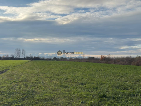 Durres, shitet toke , 8.000 m² 200.000 € (Xhafzotaj, Durrës)