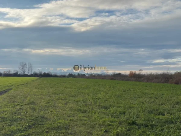 Durres, shitet toke , 8.000 m² 200.000 € (Xhafzotaj, Durrës)