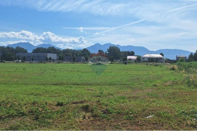 Tirane, shitet toke , 7.000 m² 525.000 € (Berxulle - Zonë Industriale, Autostrada Tiranë Durrës, Tiranë(ID: 530411012-85)