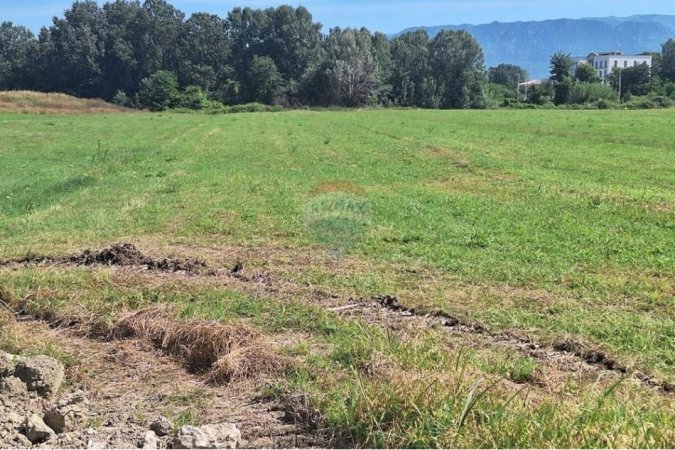 Tirane, shitet toke , 7.000 m² 525.000 € (Berxulle - Zonë Industriale, Autostrada Tiranë Durrës, Tiranë(ID: 530411012-85)