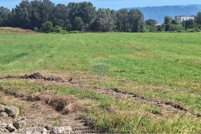 Tirane, shitet toke , 7.000 m² 525.000 € (Berxulle - Zonë Industriale, Autostrada Tiranë Durrës, Tiranë(ID: 530411012-85)