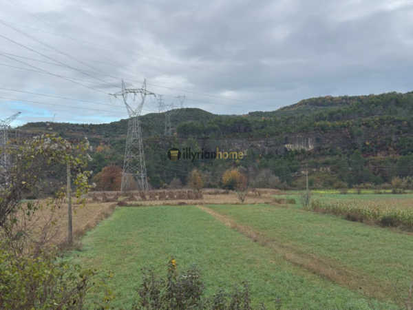 Tirane, shitet toke , 1.400 m² 98.000 € (Fshati Ibë)