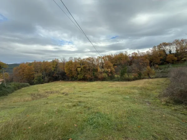 Tirane, shitet toke , 3.150 m² 204.750 € (Ibë e Poshtme)