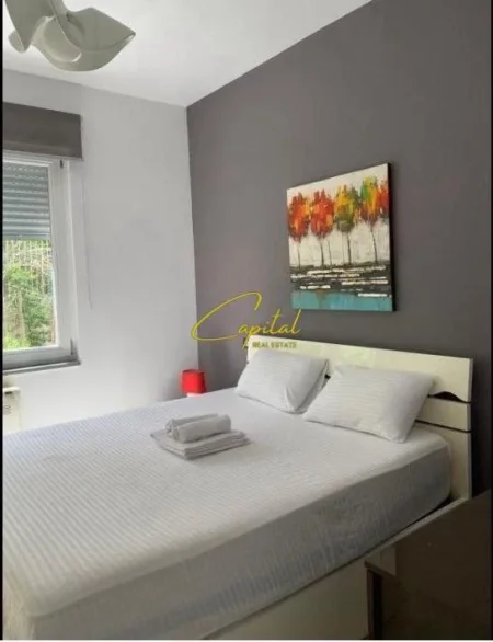 Tirane, jepet me qera apartament 1+1 Kati 3, 85 m² 600 € (KOPSHTI ZOOLOGJIK)