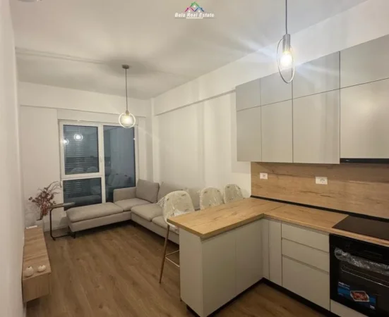 Tirane, jepet me qera apartament 1+1 Kati 2, 55 m² 470 € (Rruga Dalip Topi)