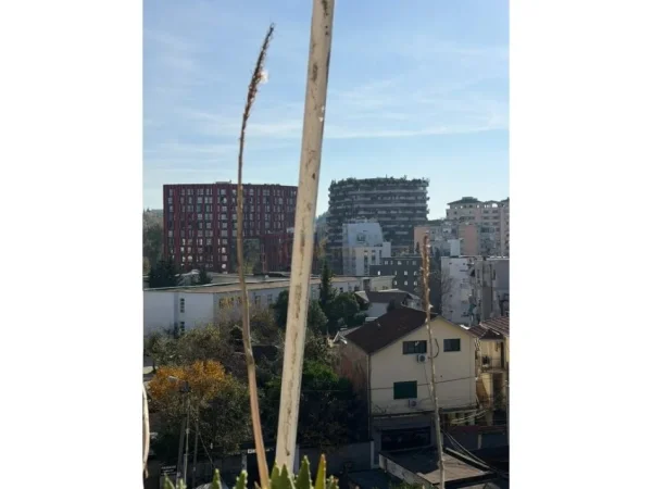 Tirane, shitet apartament 1+1+Ballkon Kati 6, 63 m²