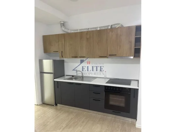 Tirane, jepet me qera apartament 1+1+Ballkon Kati 1, 60 m² 500 € (Liqeni i Thate)