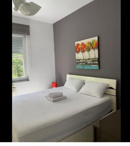 Tirane, jepet me qera apartament 1+1+Ballkon Kati 1, 85 m² 600 € (KOPSHTI BOTANIK)