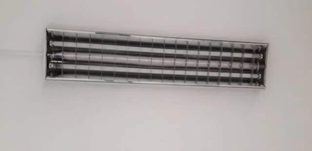 Tirane, shes 20 cope ndricues neoni tavanor 600 Leke/copa