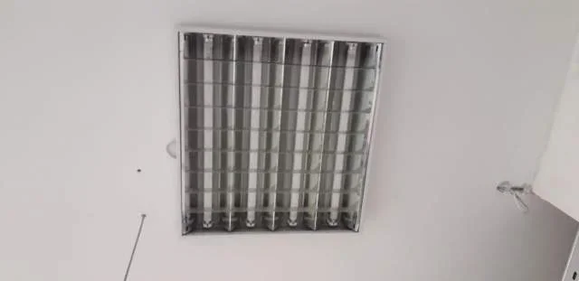 Tirane, shes 20 cope ndricues neoni tavanor 600 Leke/copa