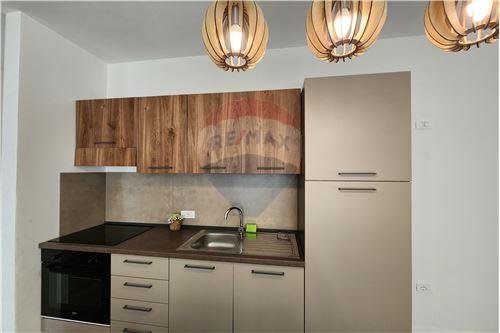 Tirane, jepet me qera apartament 1+1 Kati 2, 60 m² 550 Euro (Spitali i Kafsheve)