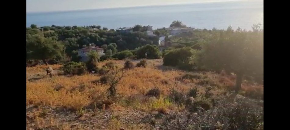 Vlore, shes toke ne bregdet , 1.200 m² 180.000 € (Borsh)