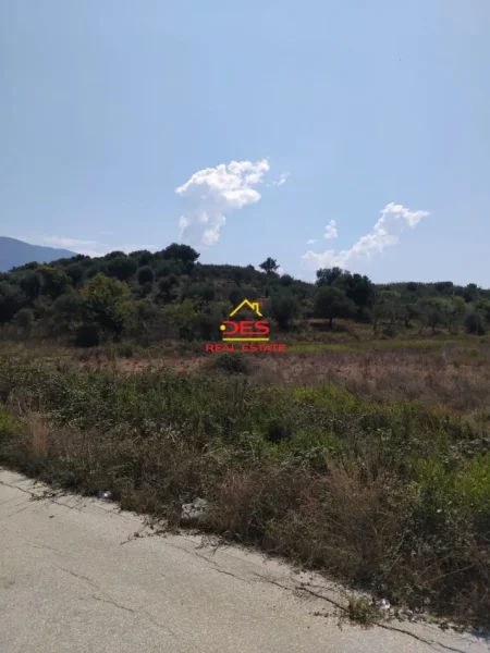 Vlore, jepet me qera toke , 7.000 m² (Tragjas)