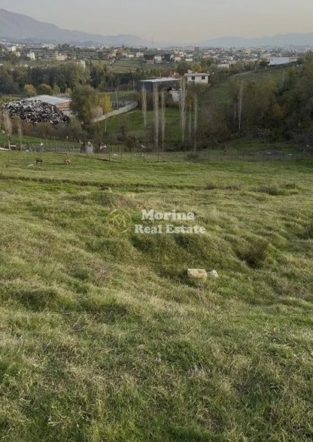 Tirane, shitet toke , 4.500 m² 270.000 € (Babrru)