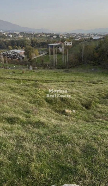 Tirane, shitet toke , 4.500 m² 270.000 € (Babrru)