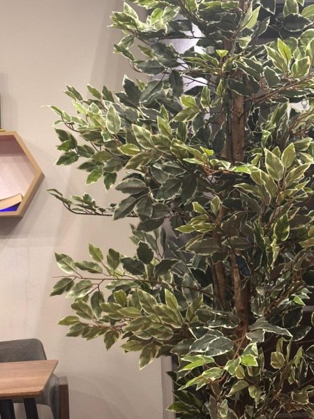 Tirane, shitet ambjent biznesi Kati 0, 270 m² 35.000 € (Komuna e Parisit)