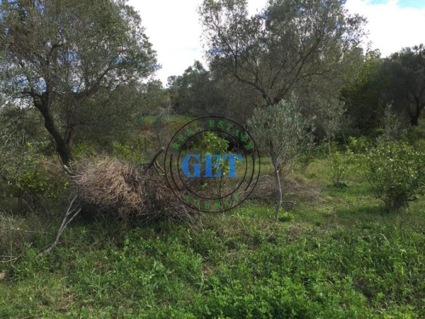 Durres, shitet toke , 900 m² 120.000 € (golem)