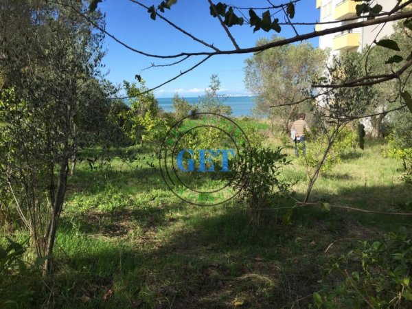 Durres, shitet toke , 900 m² 120.000 € (golem)