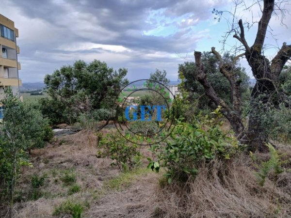 Durres, shitet toke , 900 m² 120.000 € (golem)