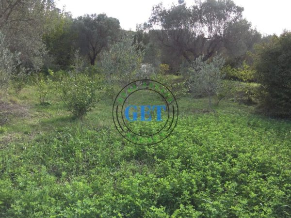 Durres, shitet toke , 900 m² 120.000 € (golem)