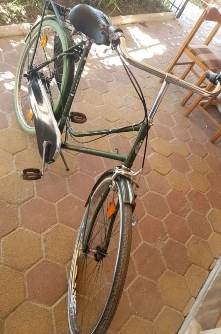 Lushnje, kërkoj TA NDERROJ ME BICIKLETE ME PALOSJE. *GAZELLE HOLLANDES) 200 €