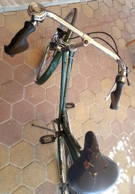 Lushnje, kërkoj TA NDERROJ ME BICIKLETE ME PALOSJE. *GAZELLE HOLLANDES) 200 €