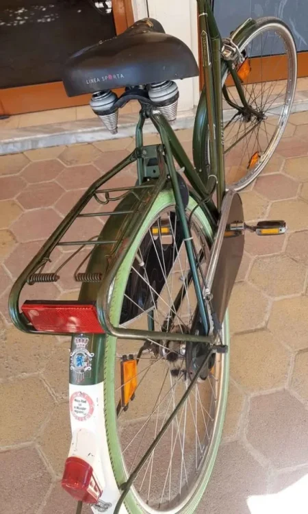 Lushnje, kërkoj TA NDERROJ ME BICIKLETE ME PALOSJE. *GAZELLE HOLLANDES) 200 €