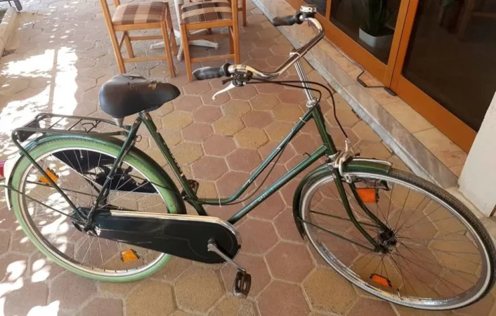 Lushnje, kërkoj TA NDERROJ ME BICIKLETE ME PALOSJE. *GAZELLE HOLLANDES) 200 €