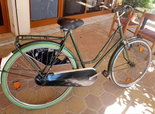 Lushnje, kërkoj TA NDERROJ ME BICIKLETE ME PALOSJE. *GAZELLE HOLLANDES) 200 €