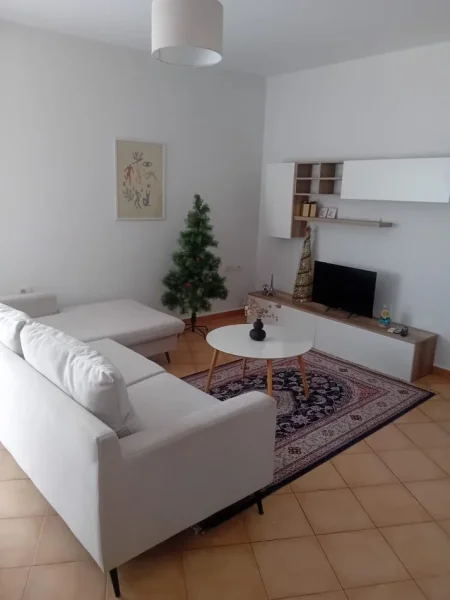 Tirane, jepet me qera apartament 1+1 Kati 2, 76 m² 720 € (liqeni artificial)