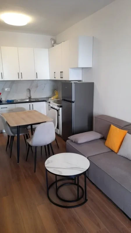 Jepet me Qira Apartament 2+1 ne Ali Demi  ,  500 €URO