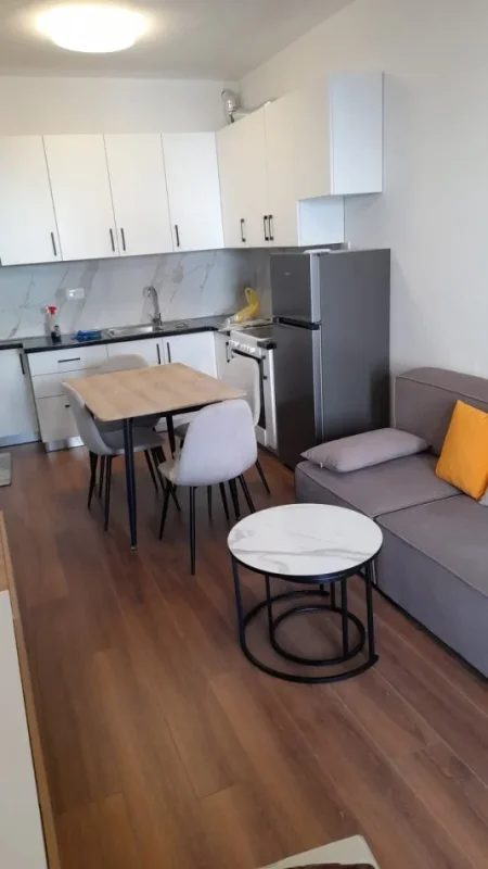 Jepet me Qira Apartament 2+1 ne Ali Demi  ,  500 €URO