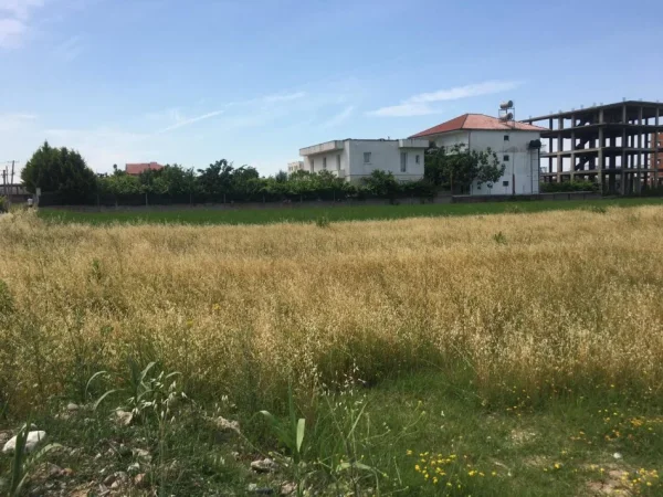 Tirane, shitet truall , 1.000 m² 67.000 € (ne Vore)