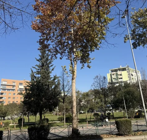 Tirane, jepet me qera dyqan Kati 0, 30 m² 1.500 € (Stadiumi Dinamo)