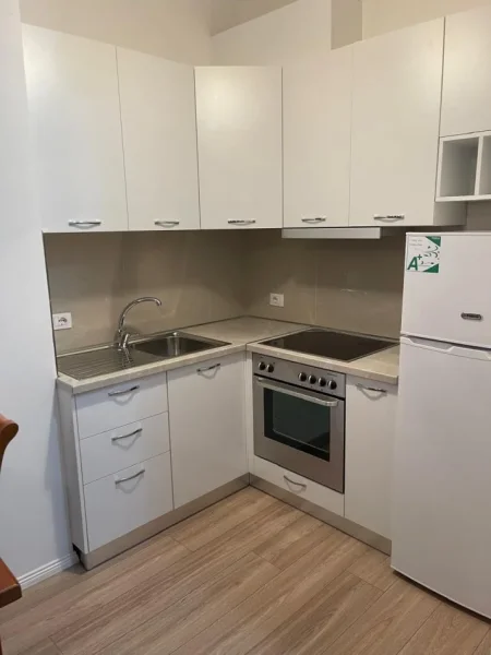 Tirane, jepet me qera apartament 1+1 Kati 2, 600 € (siri kodra)