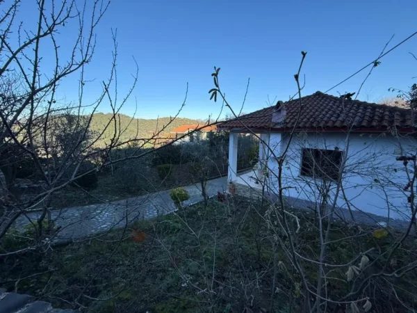 Tirane, shes shtepi 4+1+Aneks Kati 0, 365 m² 200.000 € (Shitet Shtëpi Private – Petrelë, Tiranë)