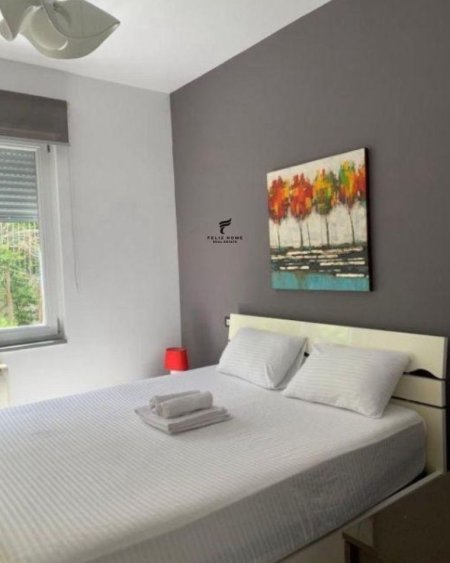 Tirane, jepet me qera apartament 1+1 Kati 3, 85 m² 600 € (SELITA E VJETER)