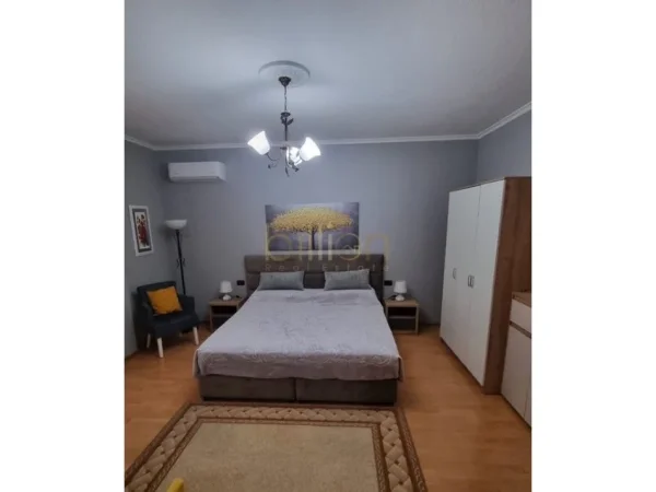 Tirane, jepet me qera apartament 1+1+Ballkon , 600 € 