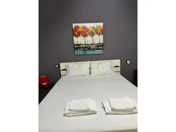 Tirane, jap me qera apartament 1+1+Ballkon , 85 m² 650 € 