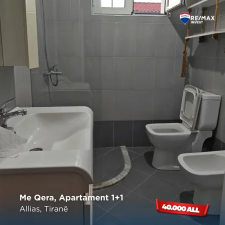 Tirane, jepet me qera Vile 1+1 Kati 2, 400 € (Allias, Tiranë)
