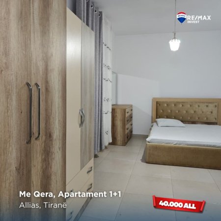 Tirane, jepet me qera Vile 1+1 Kati 2, 400 € (Allias, Tiranë)