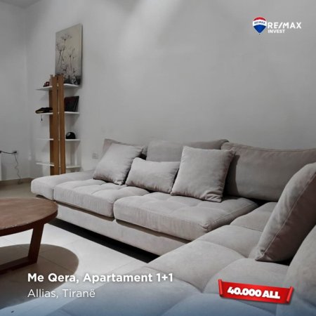 Tirane, jepet me qera Vile 1+1 Kati 2, 400 € (Allias, Tiranë)