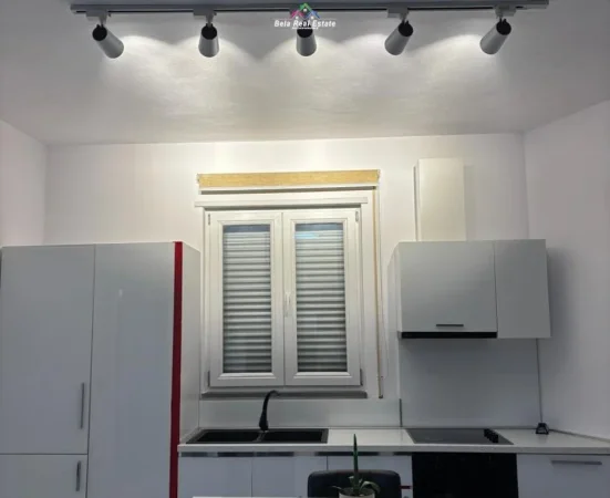 Tirane, jepet me qera apartament 1+1 Kati 3, 85 m² 600 € (Rruga Selite e Vjeter)